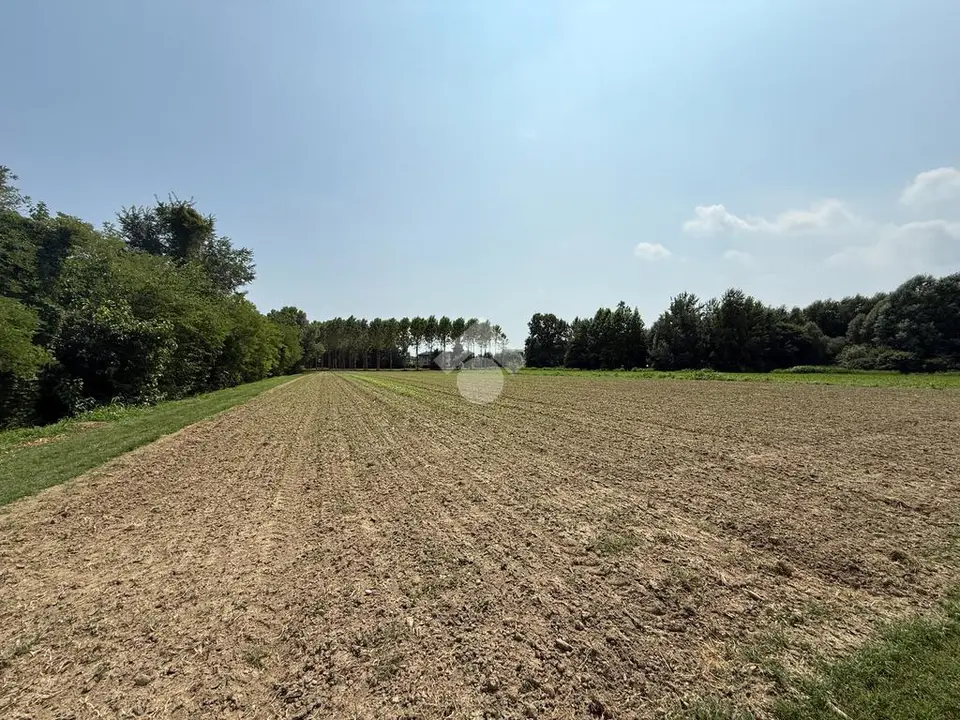 Ter. agricolo in vendita a Scorzè