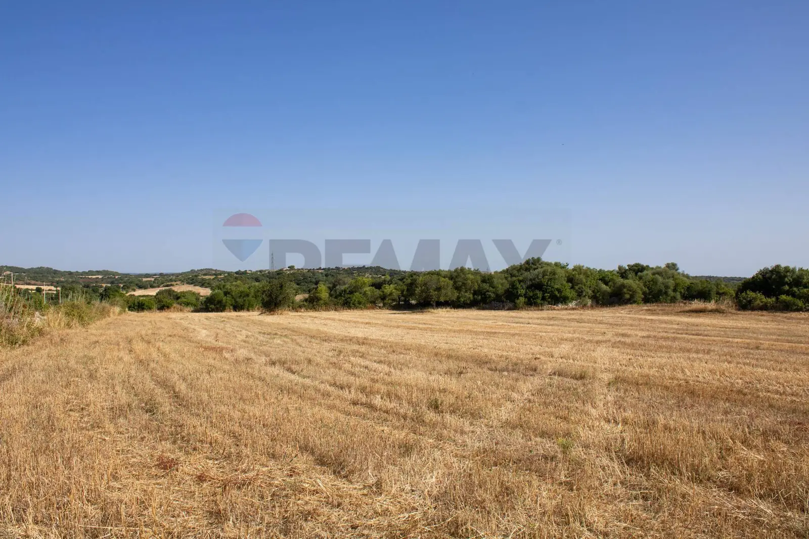 Terreno in Vendita a Noto