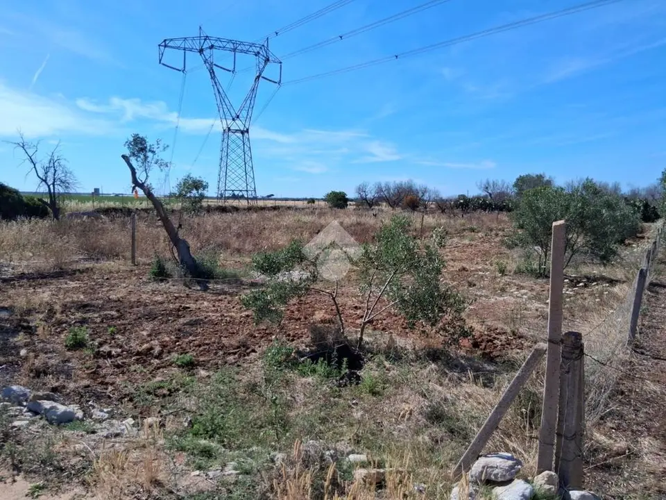 Ter. agricolo in vendita a Nardò