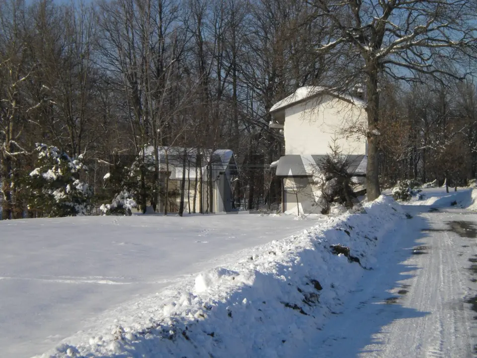 Casa Indipendente in Vendita a Casina