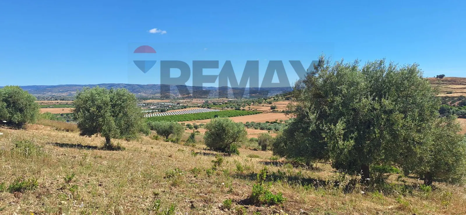 Terreno in Vendita a Noto
