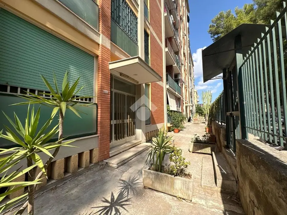 Trilocale in affitto a Palermo