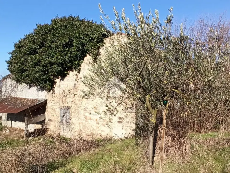 Ter. agricolo in vendita a Vo'