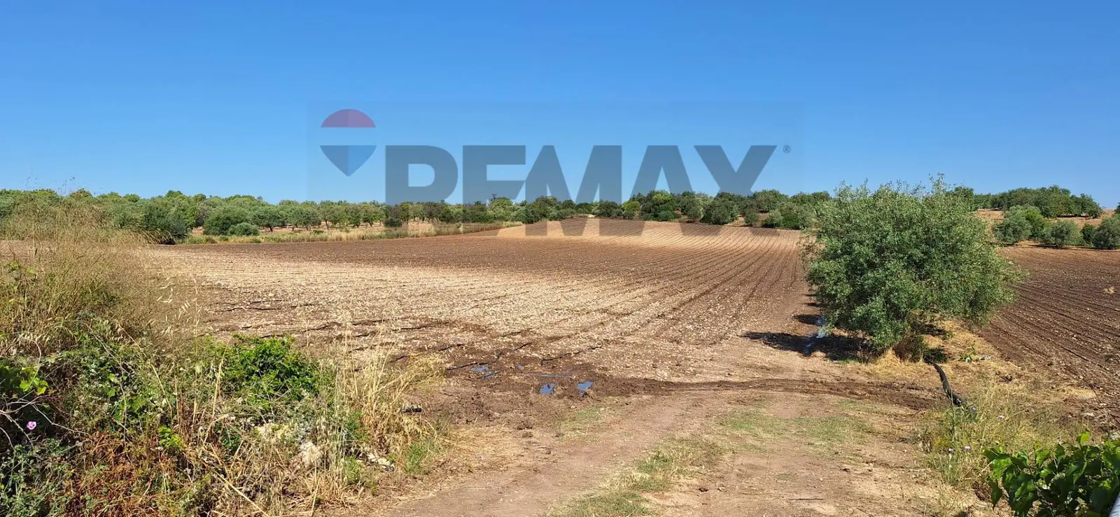 Terreno in Vendita a Noto