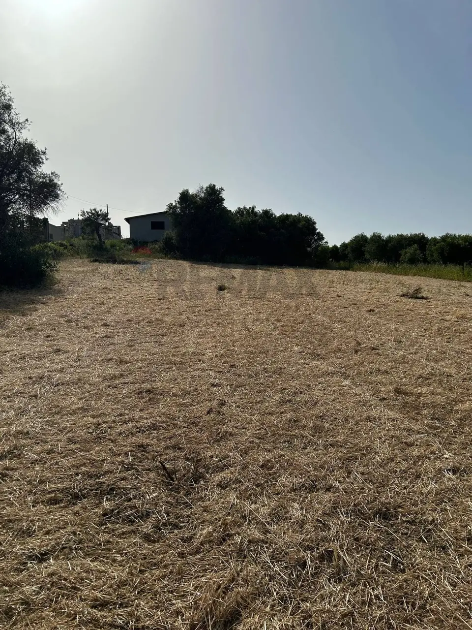 Terreno in Vendita a Pachino