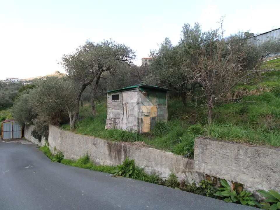 Ter. agricolo in vendita a Leivi