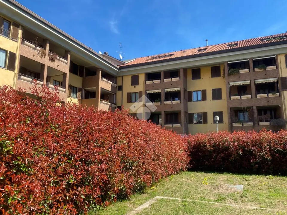 Bilocale in affitto a Rho