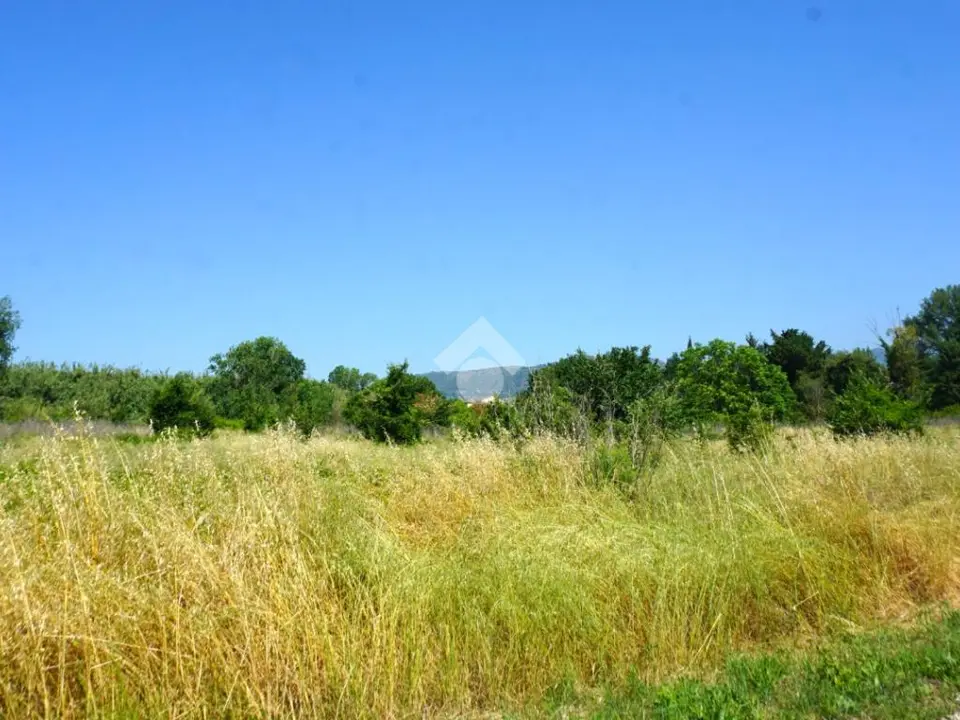 Ter. agricolo in vendita a Montecorvino Rovella