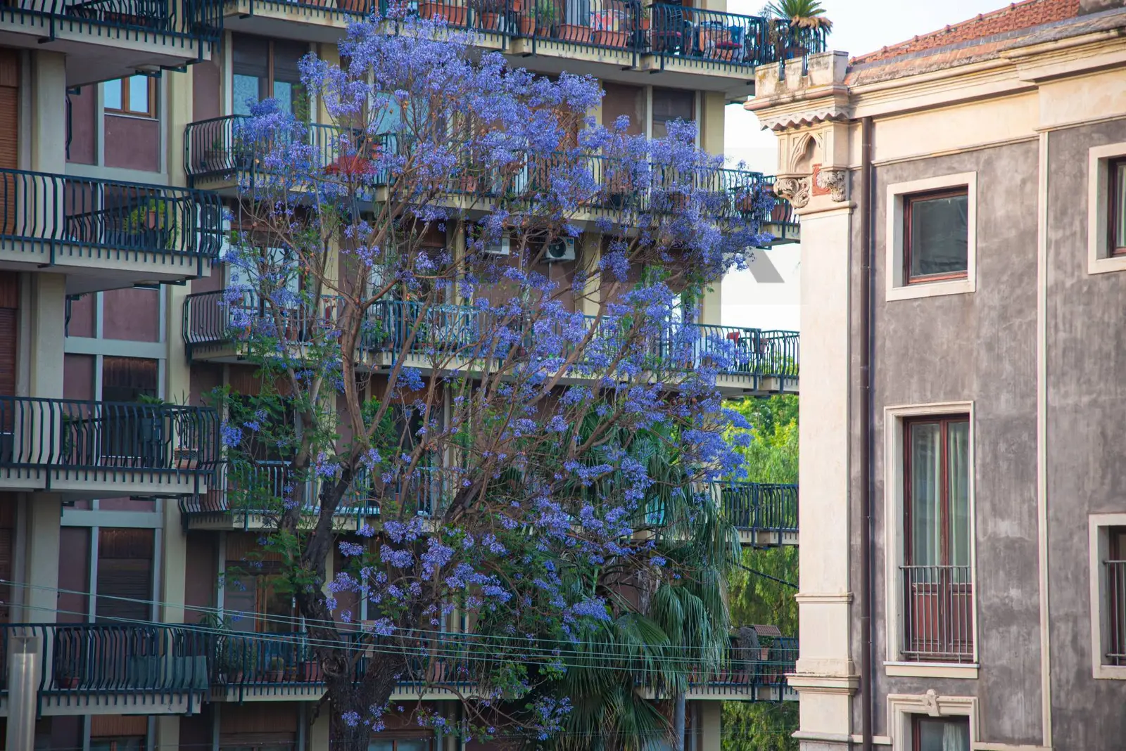 Stanza in Affitto a Catania