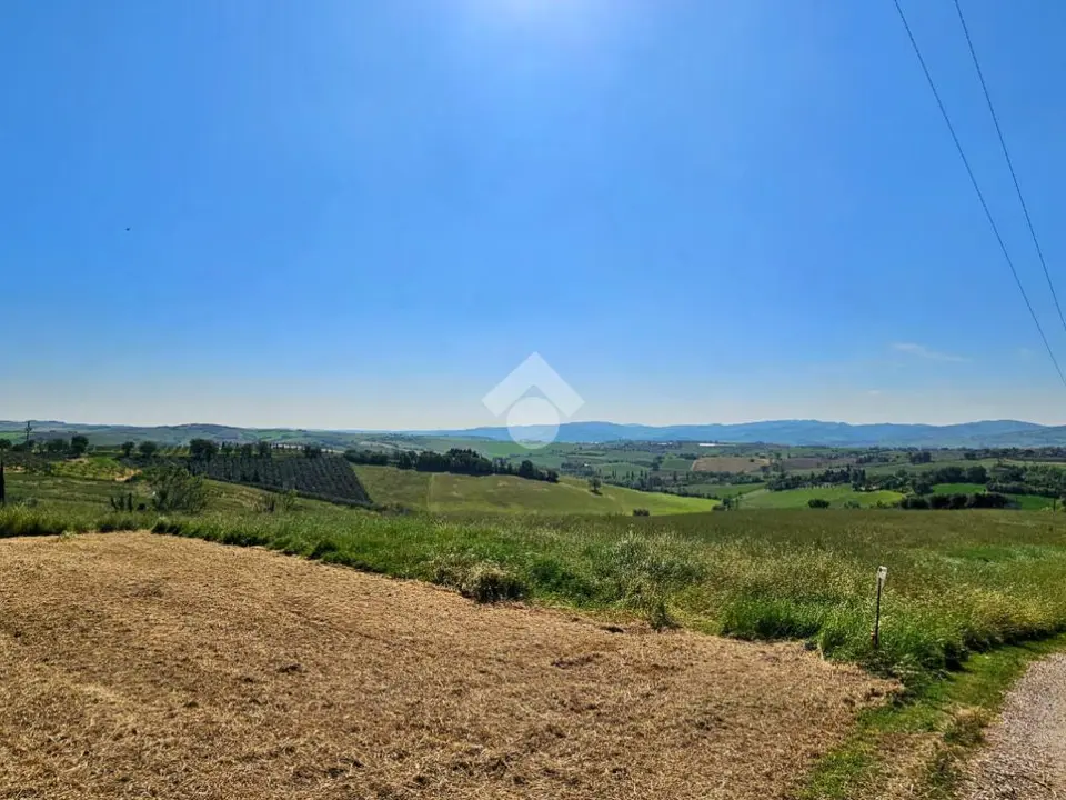 Ter. agricolo in vendita a Saludecio