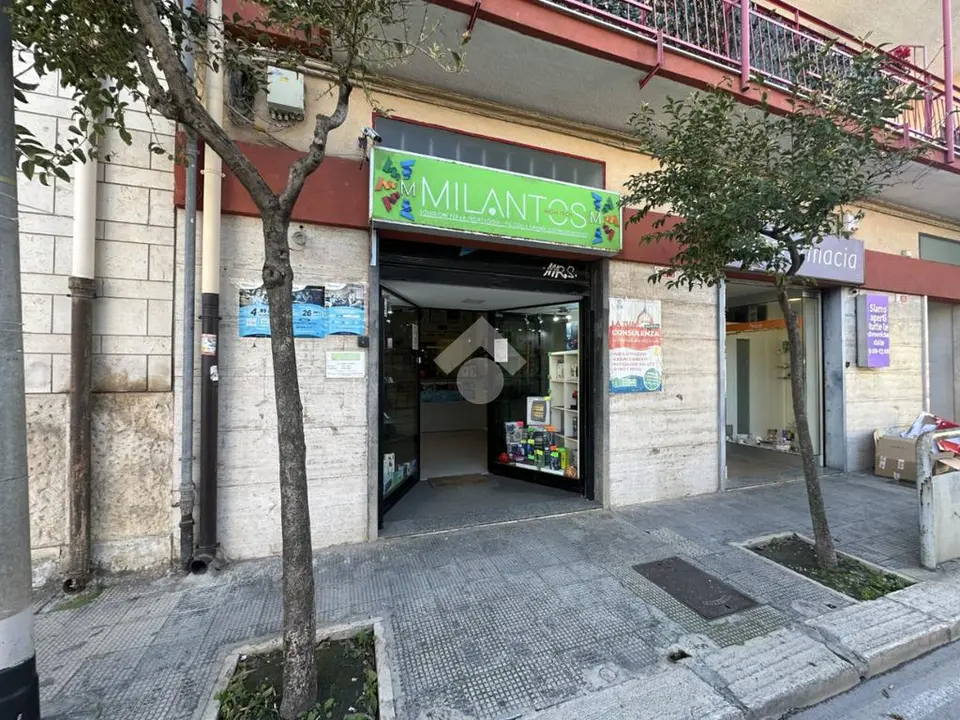 Multilocale in vendita a Bari