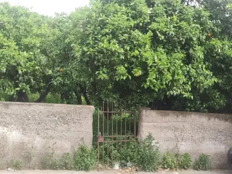 Terreno in STRETTO PRIMO FONDACONUOVO SNC, Barcellona Pozzo di Gotto (ME)