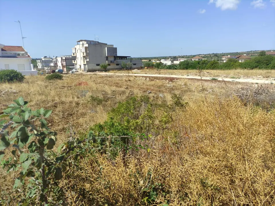 Terreno Edificabile in Vendita a Laterza