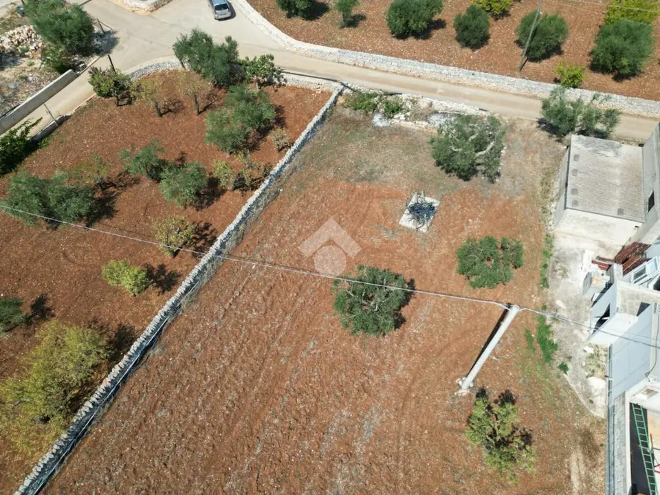Ter. agricolo in vendita a Polignano A Mare