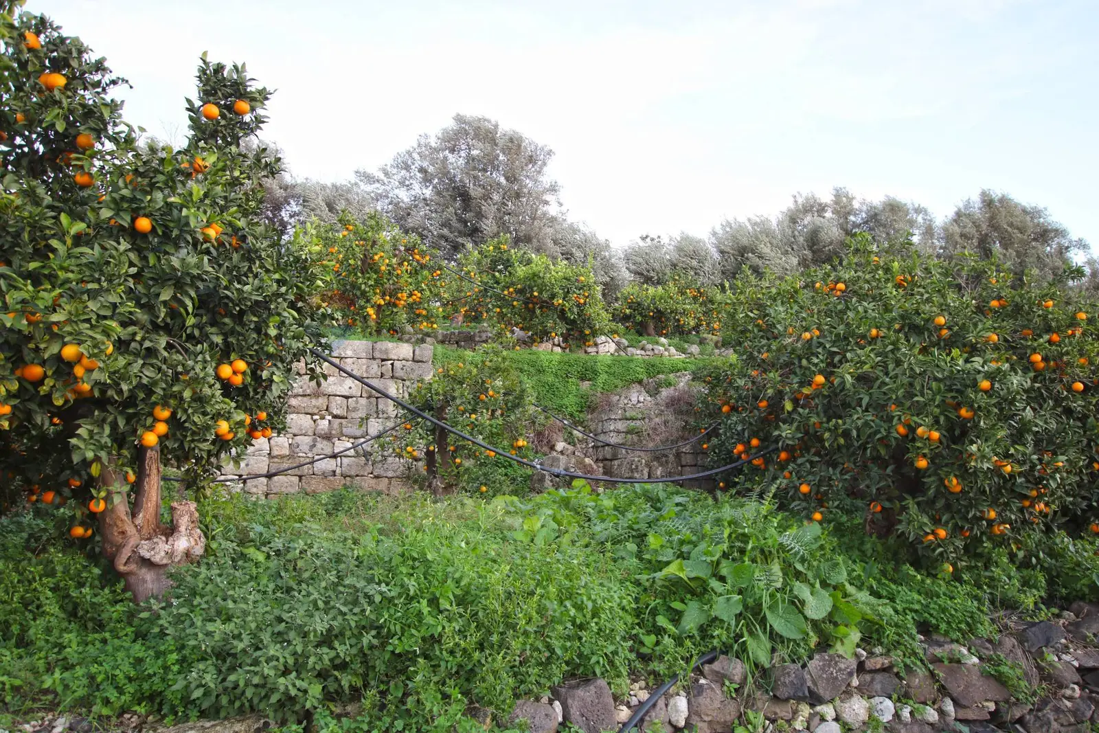 Terreno in Vendita a Augusta
