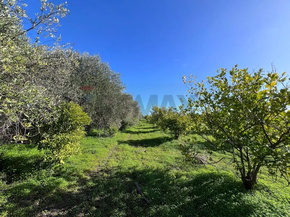 Terreno in Vendita a Augusta