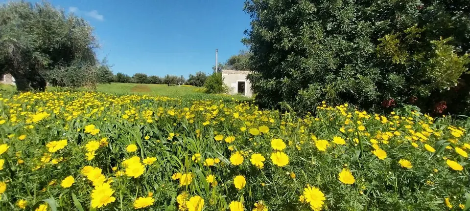 Terreno in Vendita a Pozzallo
