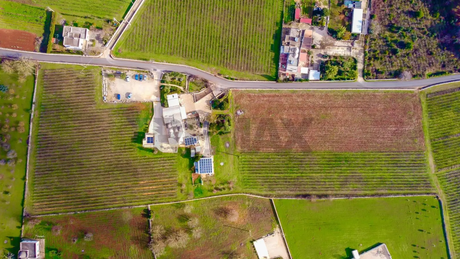 Azienda Agricola in Vendita a Ostuni