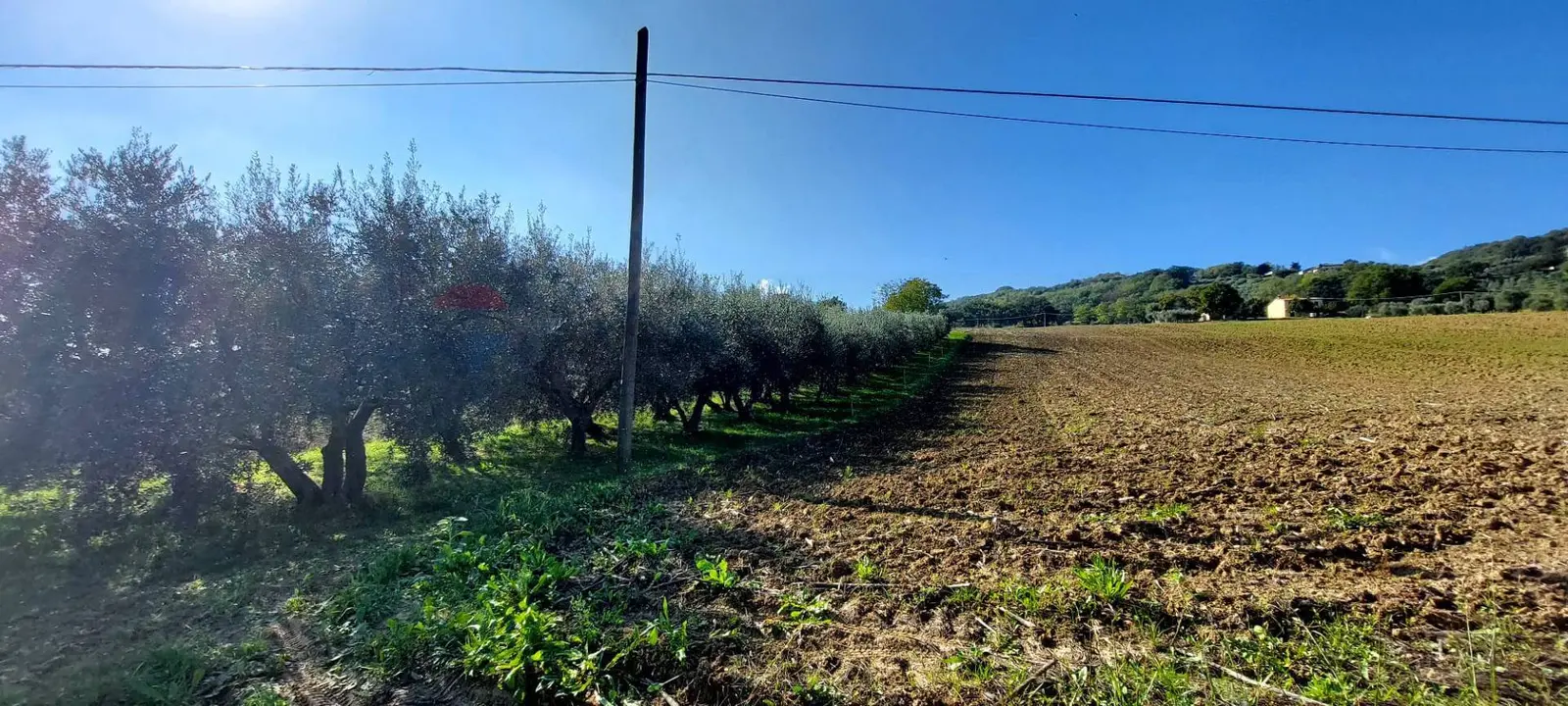 Terreno in Vendita a Serra San Quirico