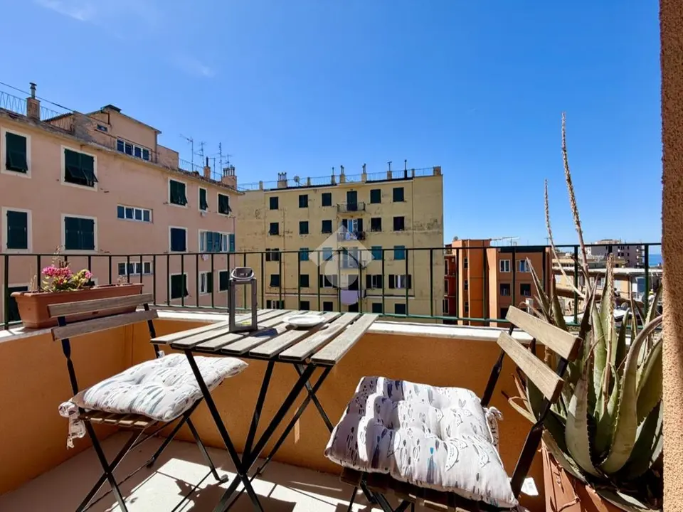 Quadrilocale in affitto a Genova