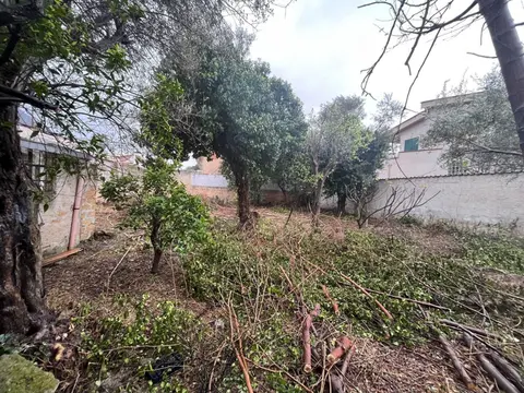 Terreno in Via dell'Ulivo 2B, Palermo (PA)