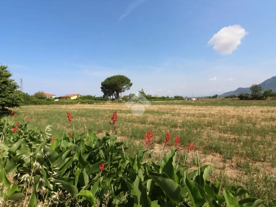 Ter. agricolo in vendita a Agropoli