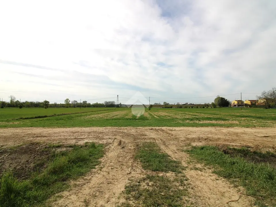 Ter. agricolo in vendita a Portogruaro