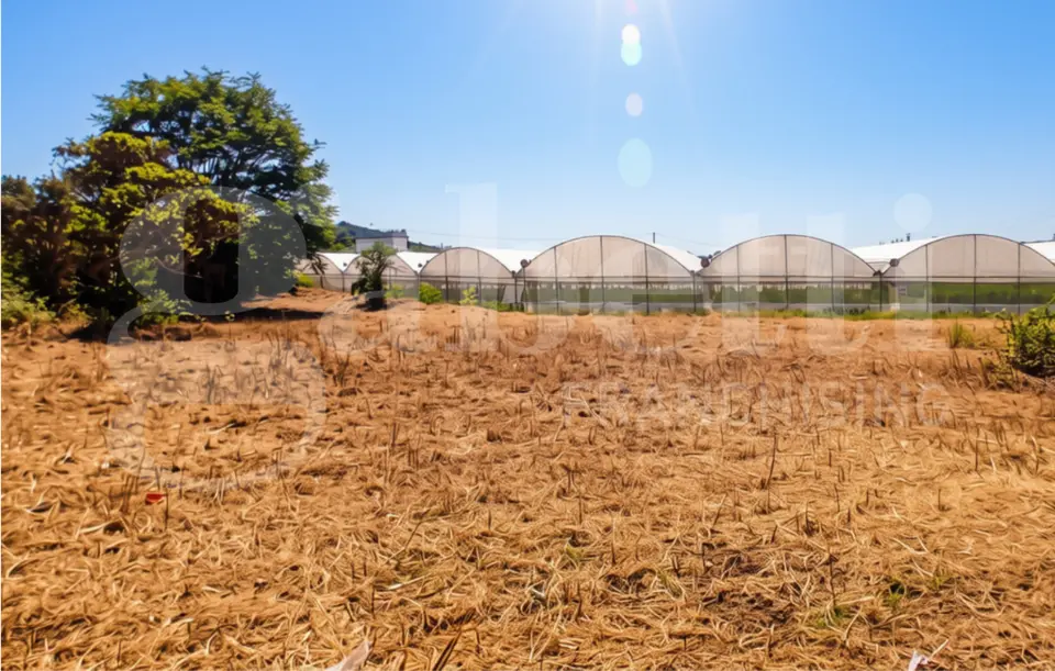 Terreno in Località San Vito s.n.c., Gaeta (LT)