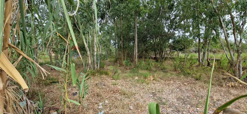 Terreno in Vendita a Minturno